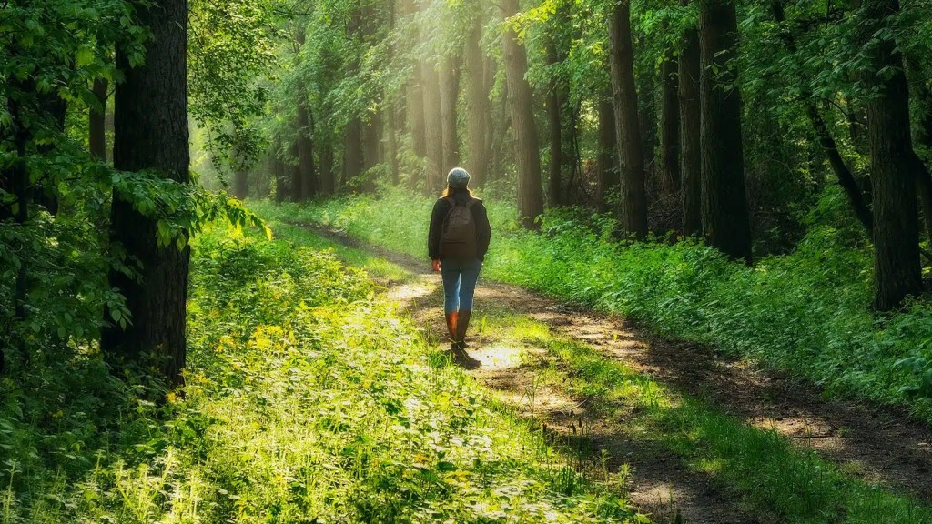 Mindful walking –&nbsp;Mindfulness